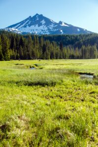 Historical Ranches – Nam Sing Ranch