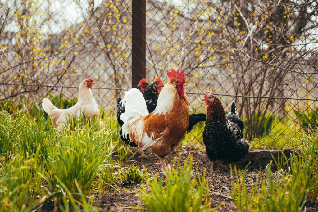 What Makes a Good Small Farm Property