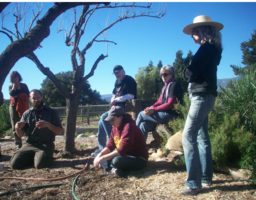 “Watershed Seminary II: Healing Rivers”: Where Hydrology Meets Theology and the Bible Meets the Bioregion