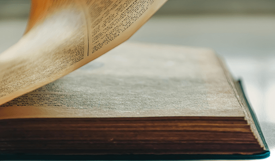 ¿Qué significa crear La Biblioteca del Fin del Mundo para Masticadores? by j. Ré Crivello