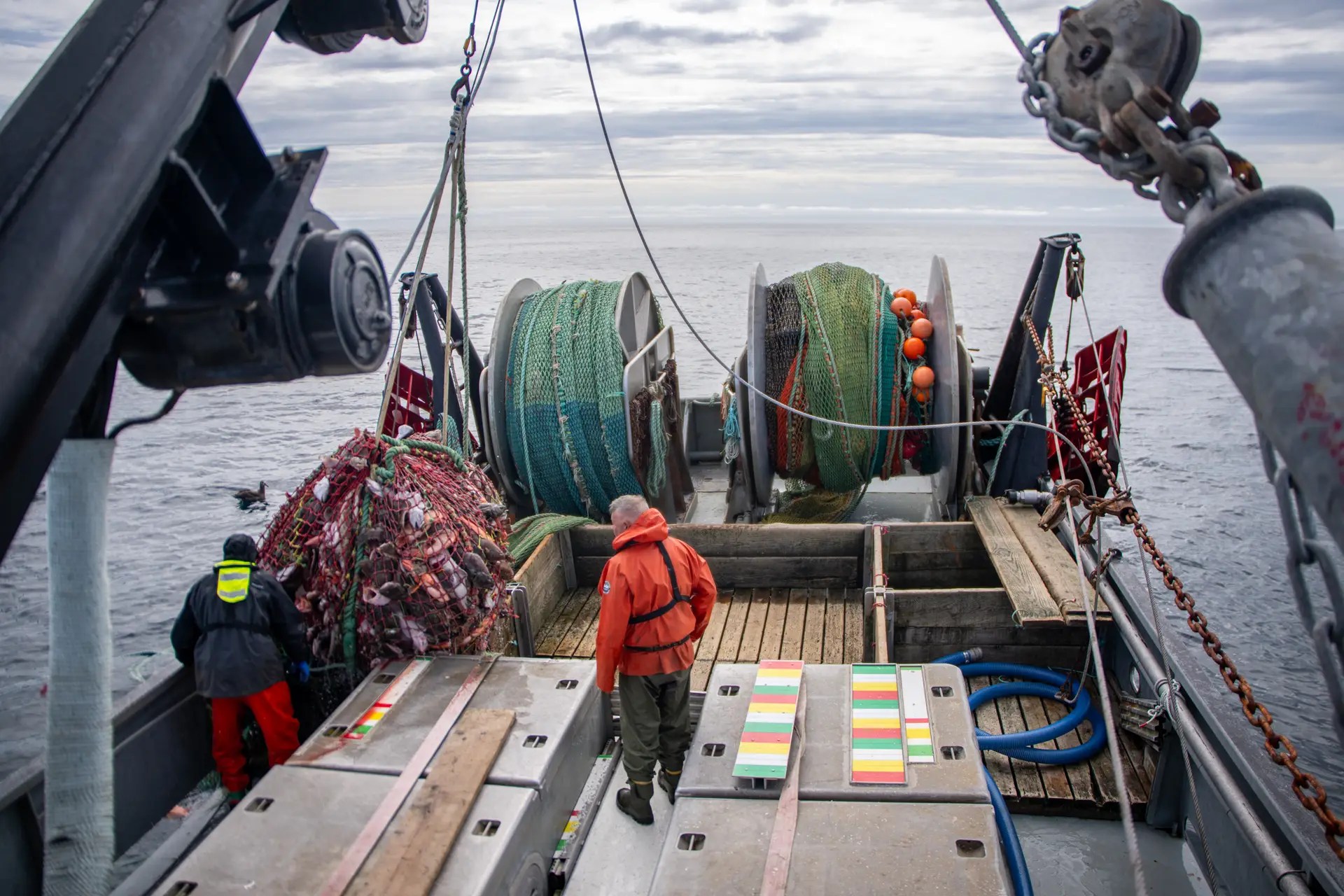 Harvest of BC Groundfish