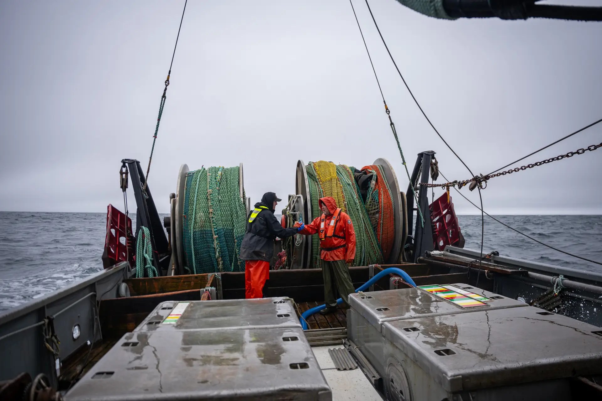 harvesting in action