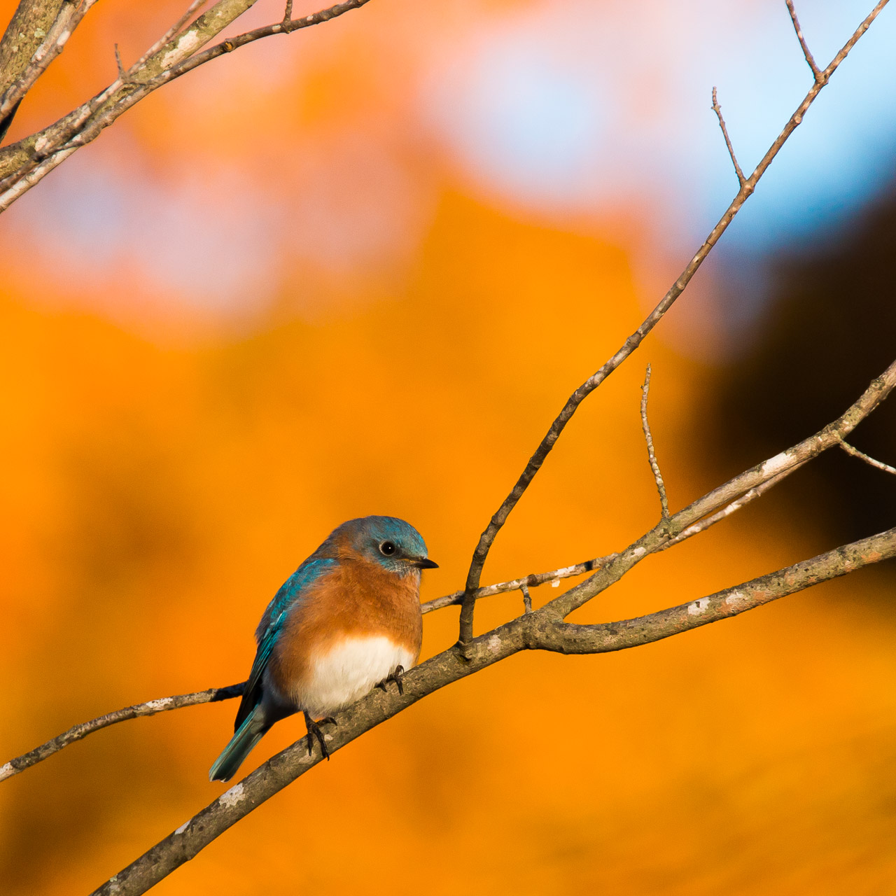 Behind Blanchard Memorial School