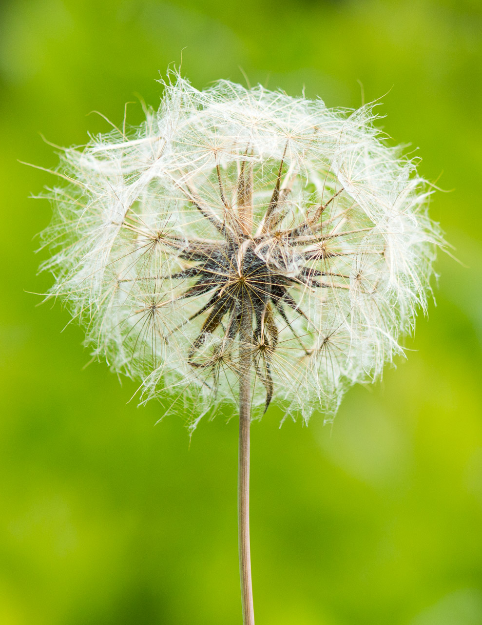 Patch Hill Conservation Land, Robinson Land
