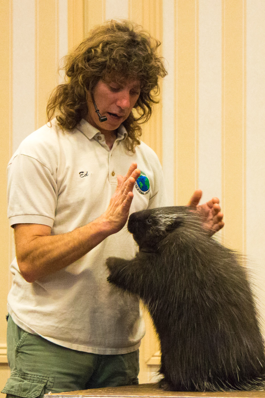 BCTrust Animal Adventures Show Oct'15