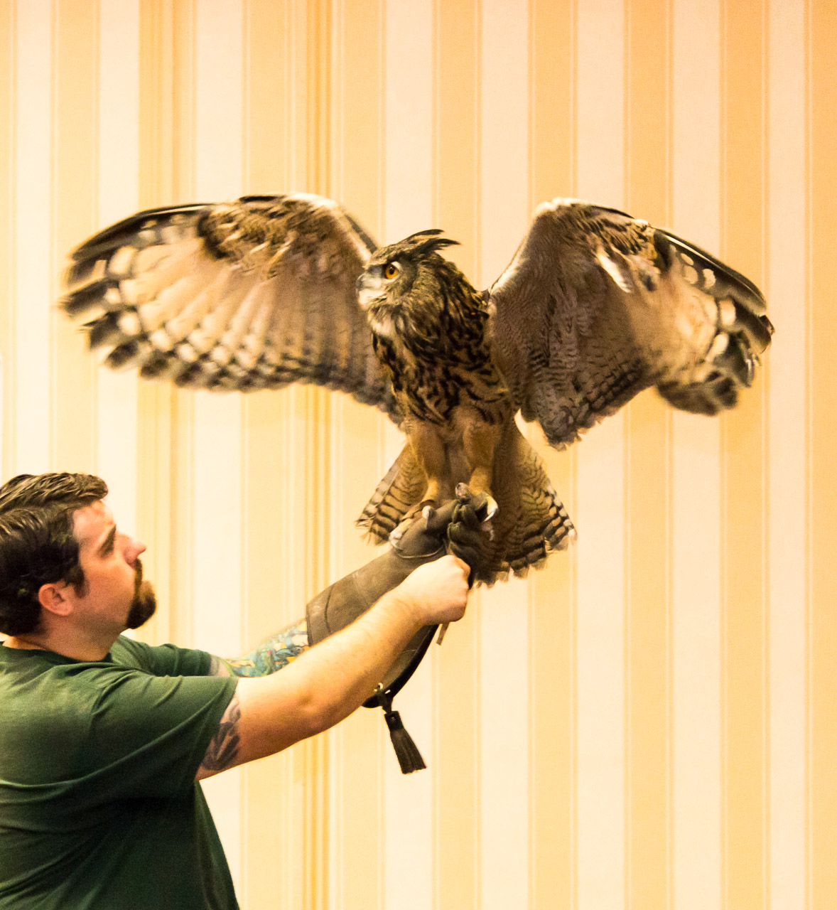 BCTrust Animal Adventures Show Oct'15