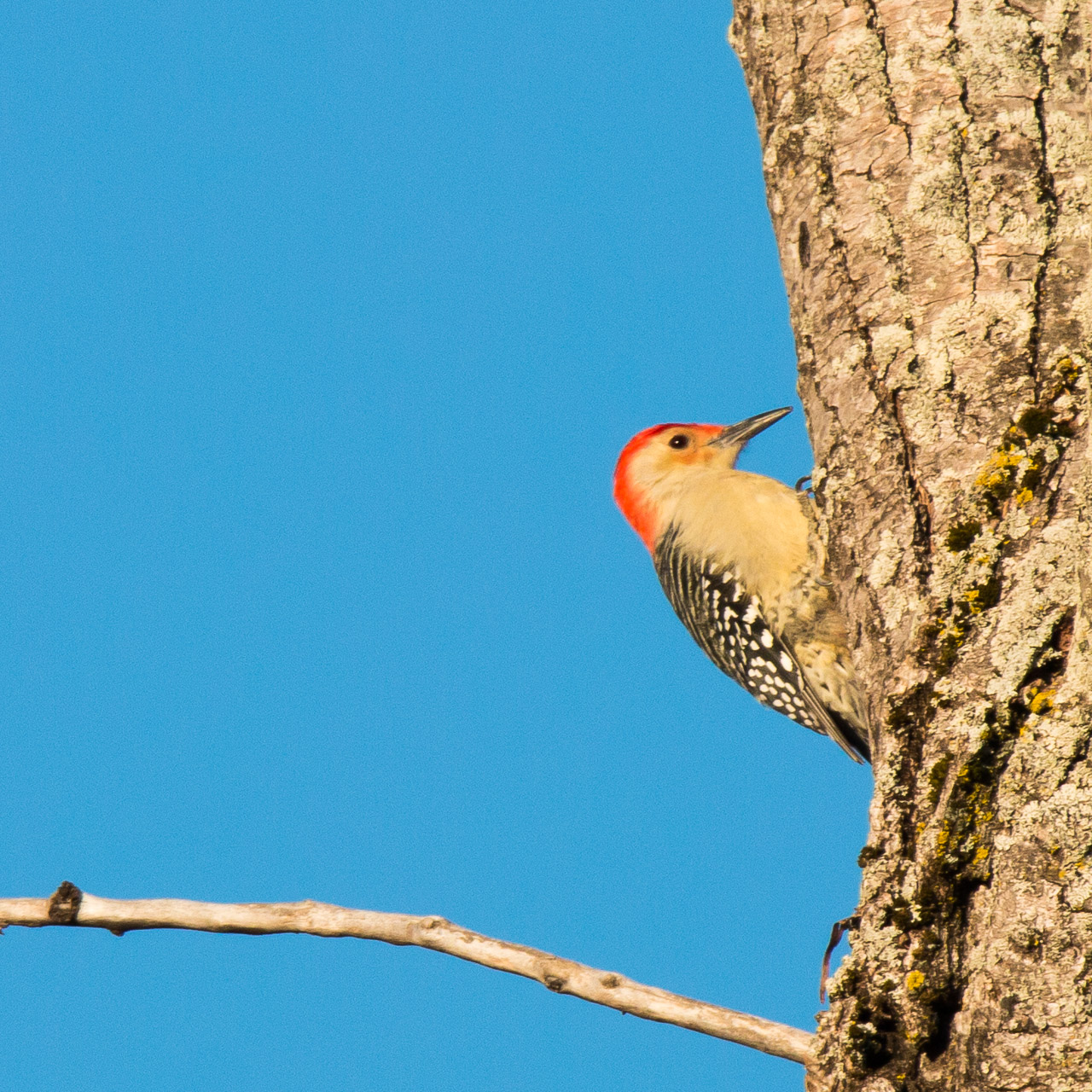 Behind Blanchard Memorial School