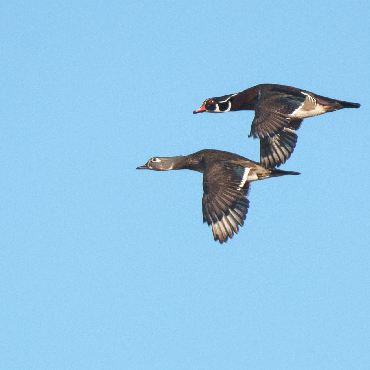 Behind Blanchard Memorial School