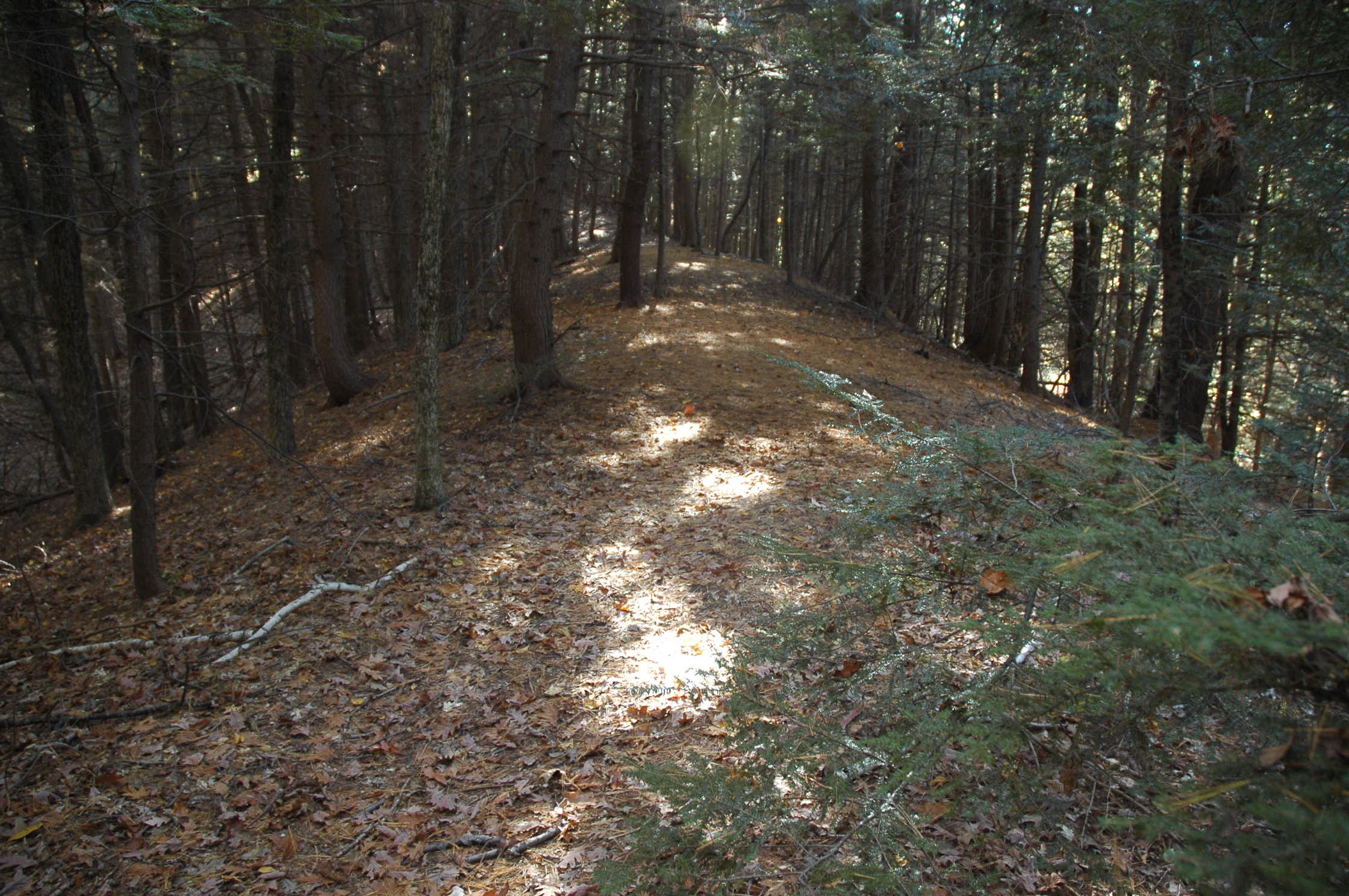 Beaver Brook Valley Preserve