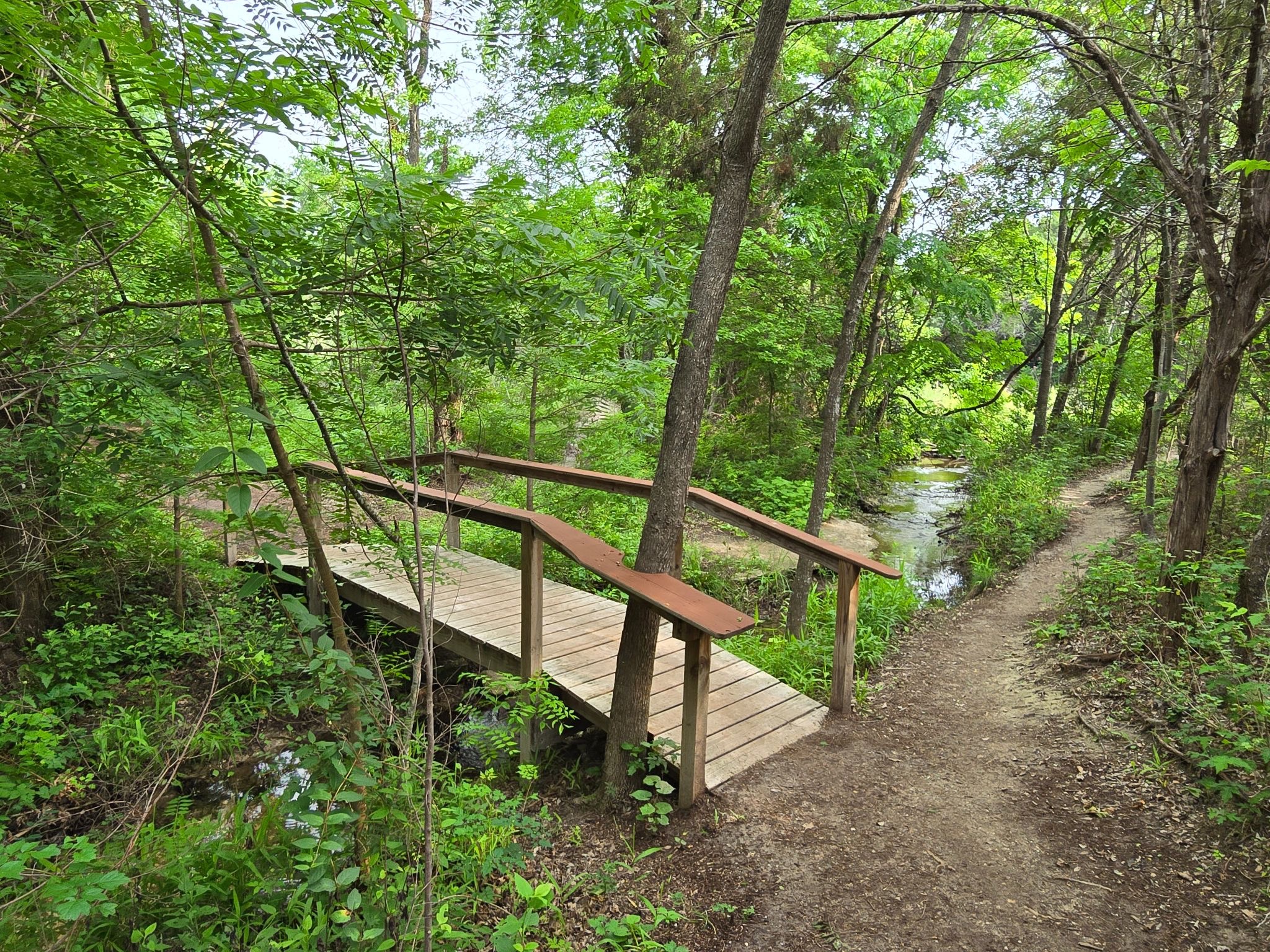 Volunteer Spotlight: Friends of Copperfield Nature Trails