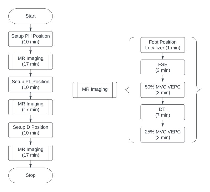 Github Bcunnane Fiber Tracking Py Automatic Fiber Detection In Dti - Sunset Art Collection - HD Quality