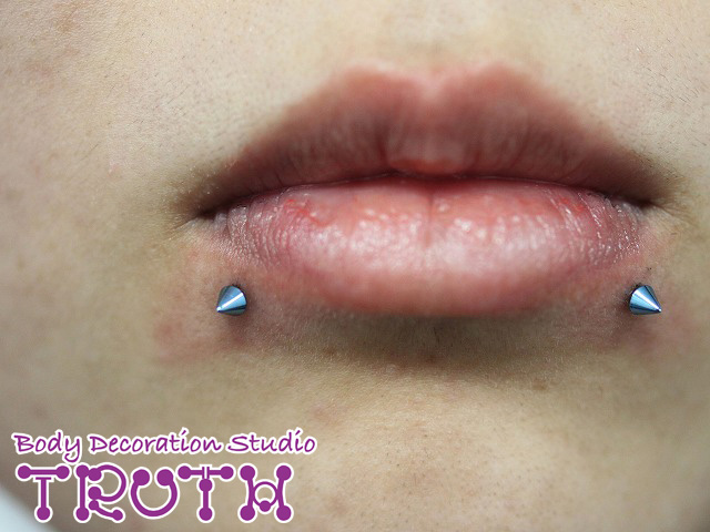 ◇2.LIP(SNAKE BITE)/2.リップ(スネークバイト)◇プライスリスト