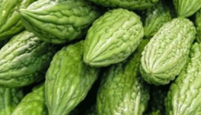 মজাদার করলা সবজি রেসিপি
