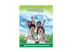 ষষ্ঠ শ্রেণির ইংরেজি বইয়ে ৪৮ ভুল