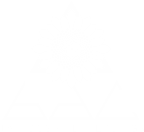 Bdc Tattoo And Piercing Studio Downtown Lawrence Ks