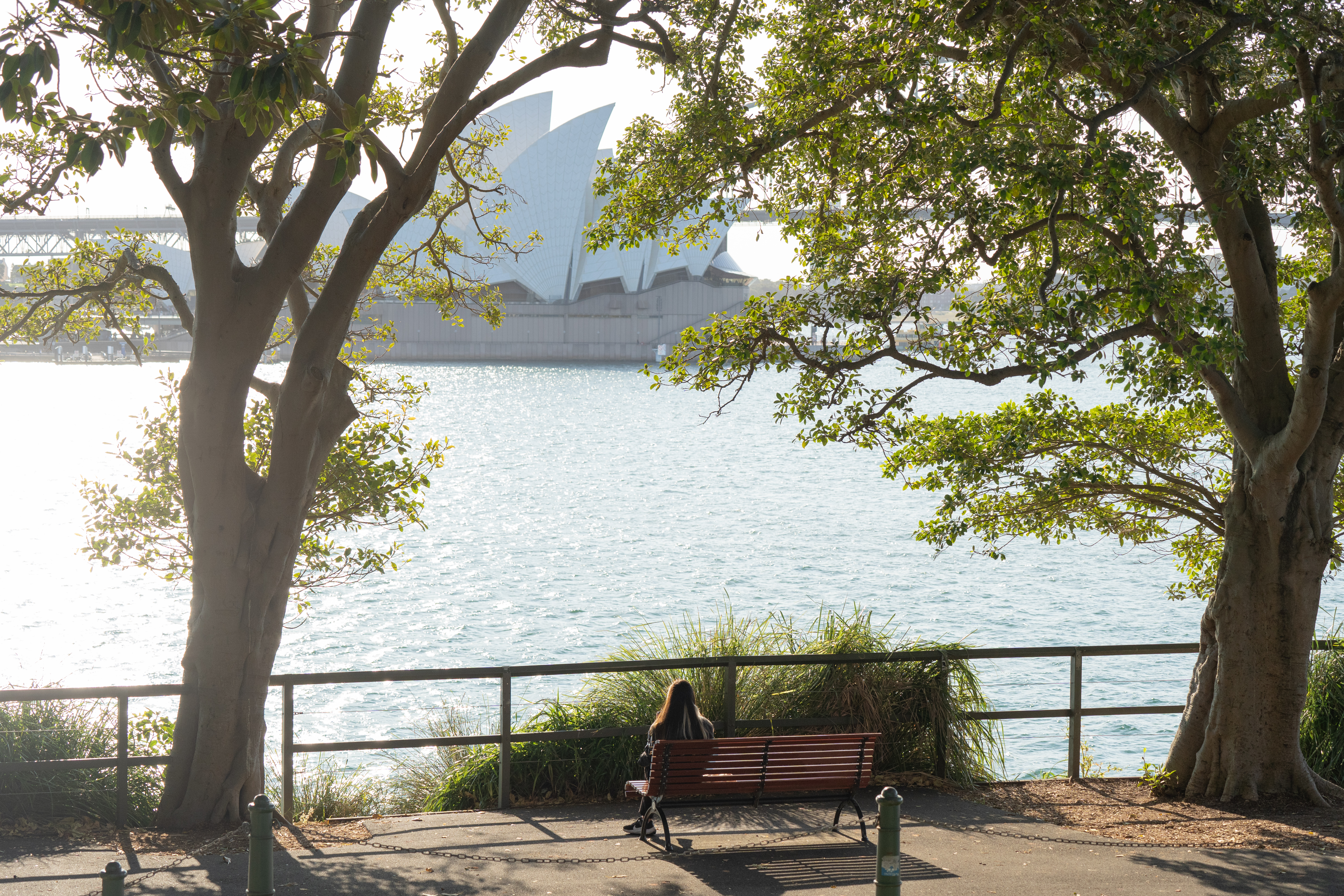 Sydney Morning