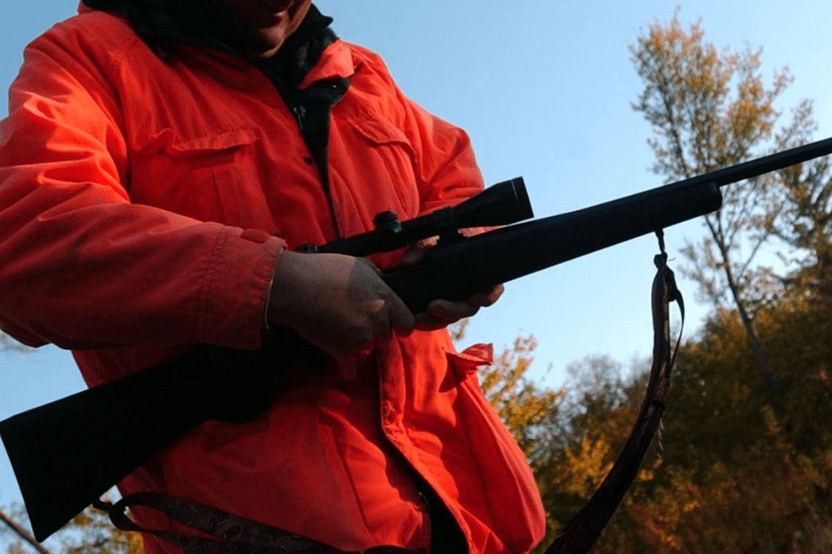 The hunt went great, until the deer stole his rifle