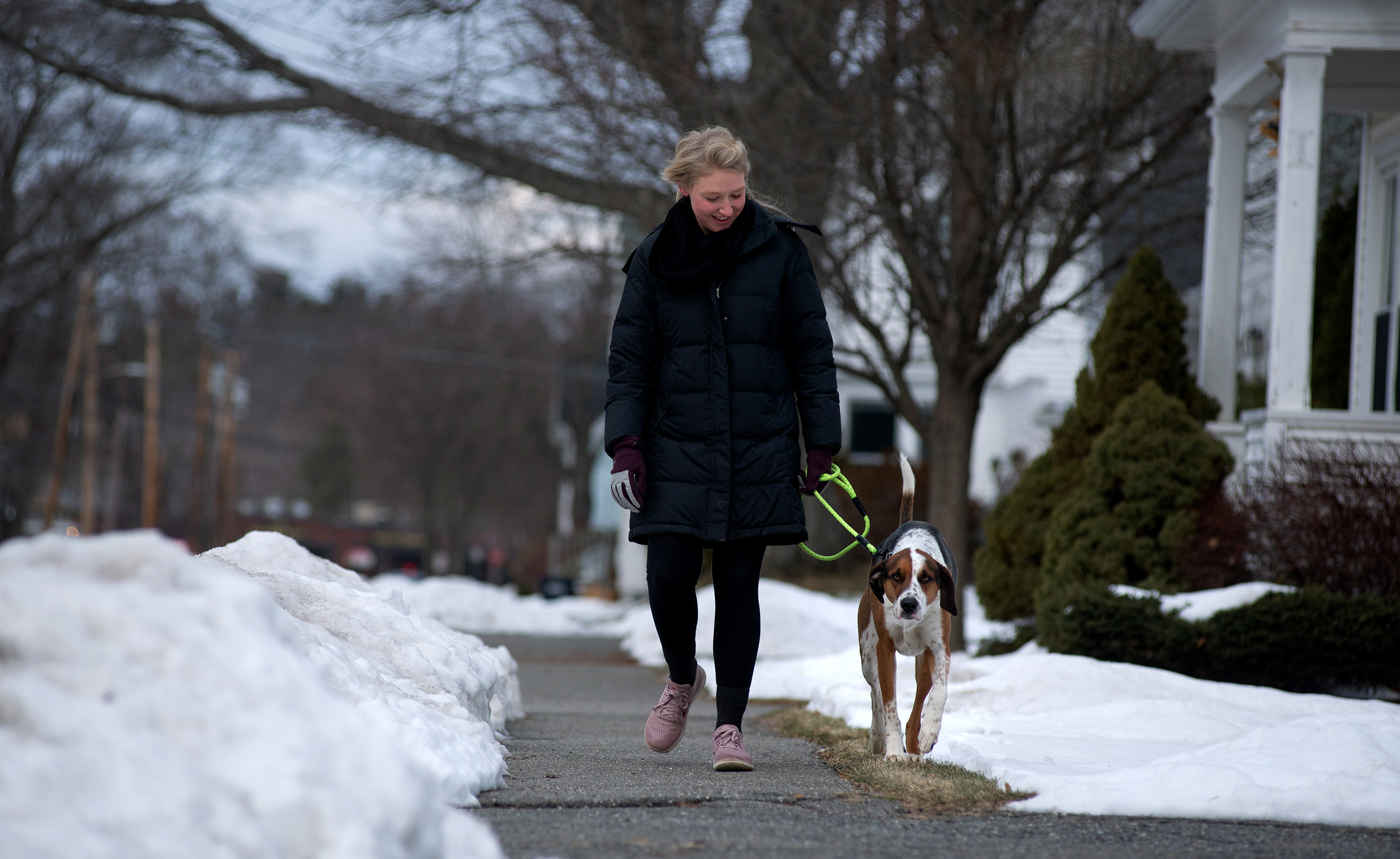 Canada mass shooting / DoverFoxcroft boundary dispute / COVID19 vaccines