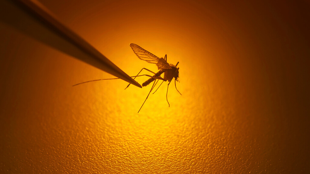 The Right Way to Apply Insect Repellent: A Guide for Outdoor Enthusiasts (2026)