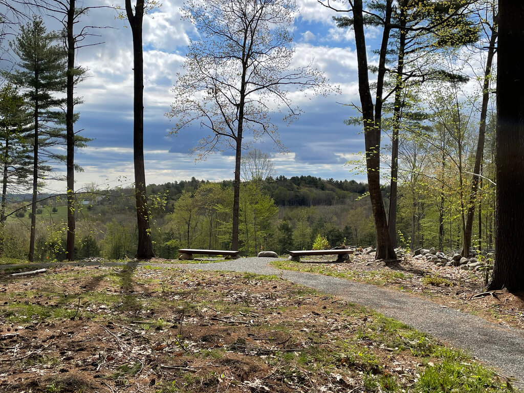 The 1st conservation cemetery opens in Maine as interest in ‘green