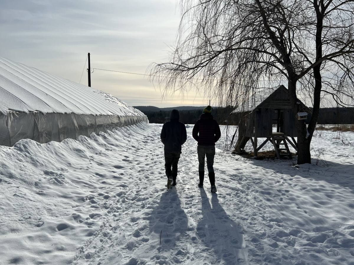 Two people facing away from the camera are silhouetted by stark white snow, and a snow-covered greenhouse and chicken coop stand in the background.
