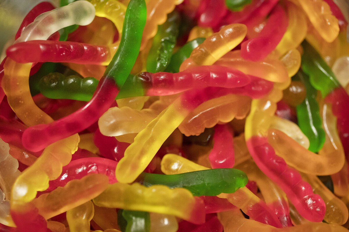 A bus driver is denying he knowingly ate THC infused gummies while behind the wheel.