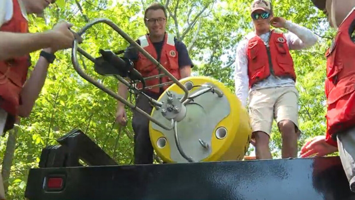 Researchers hope to learn more about great white sharks off Maine's coast.