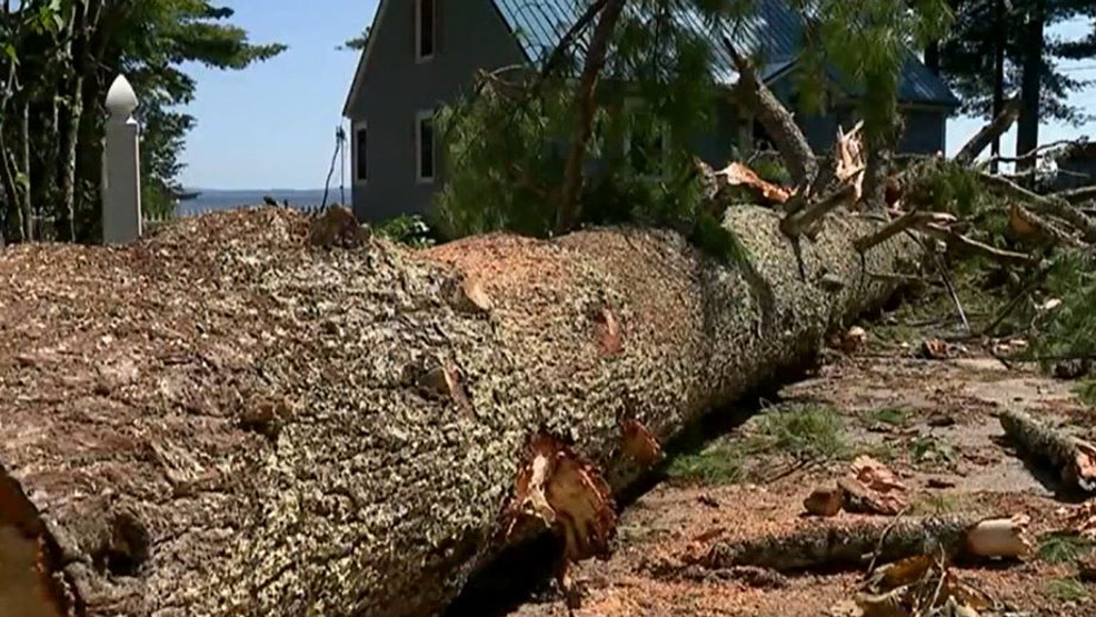 9yearold killed by fallen tree at campground has been identified