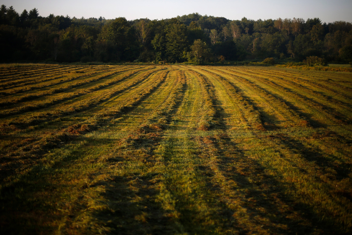 The prolonged drought could cause a hay shortage this winter.