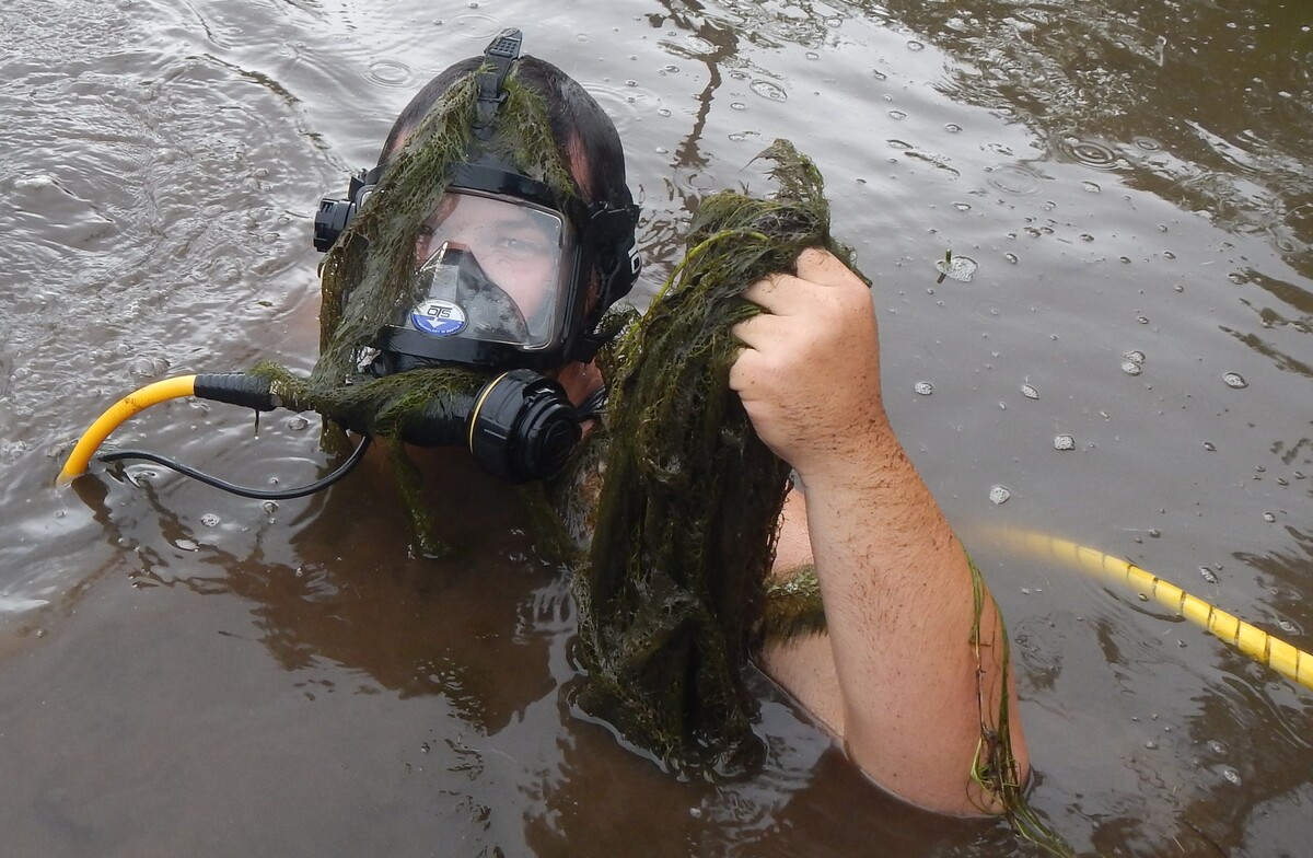 Milfoil isn't only affecting lakes and recreation, but also hitting property values.