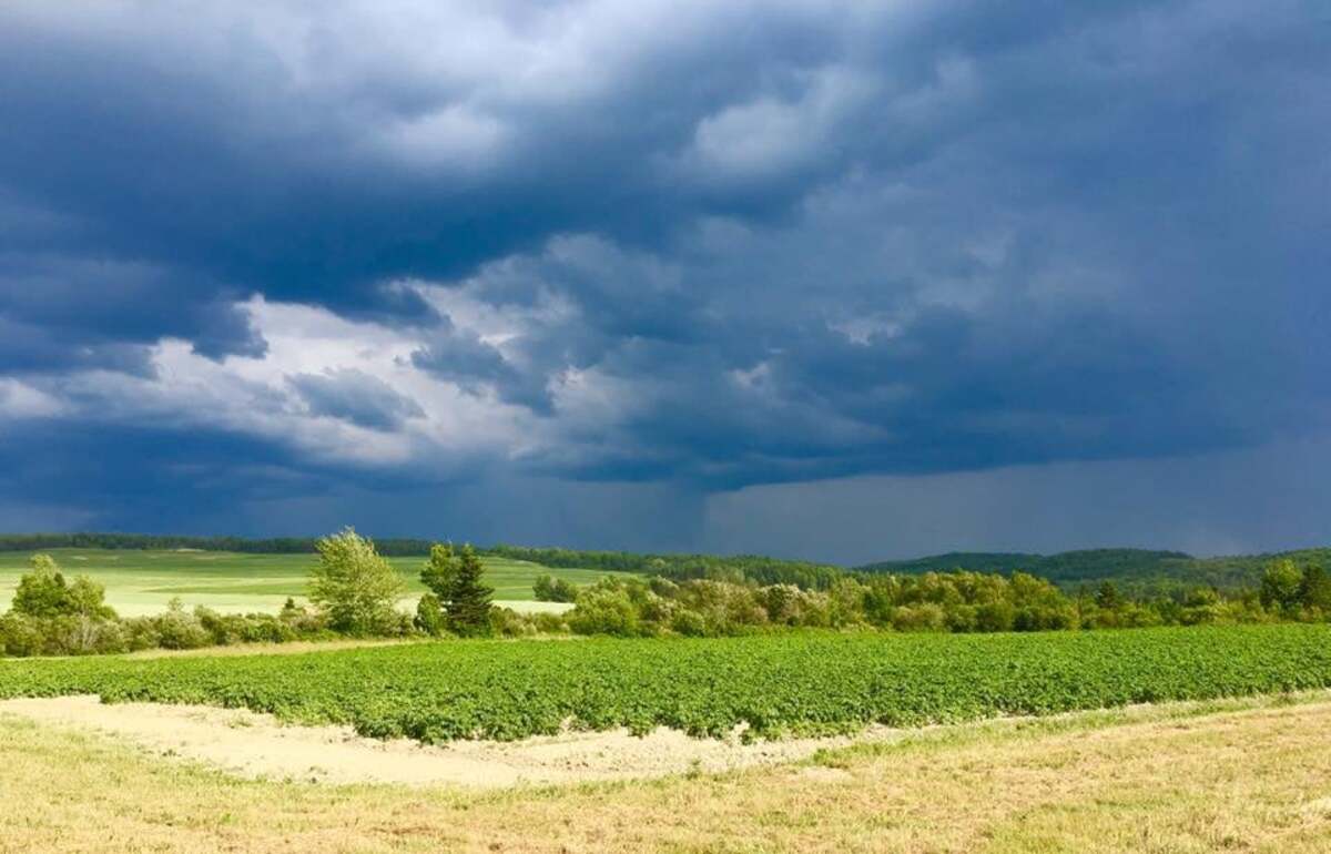 Drought conditions persist across Maine despite this week's rain.