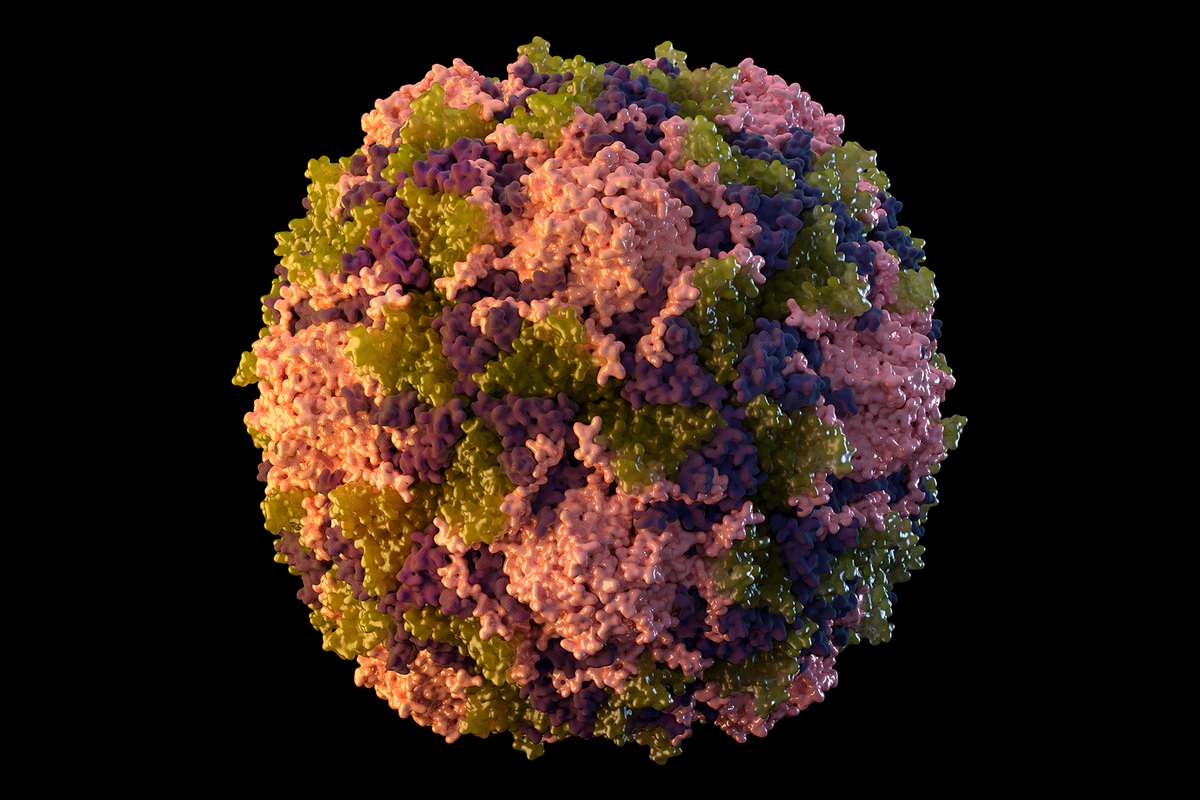 The polio virus has been found in New York City's wastewater.
