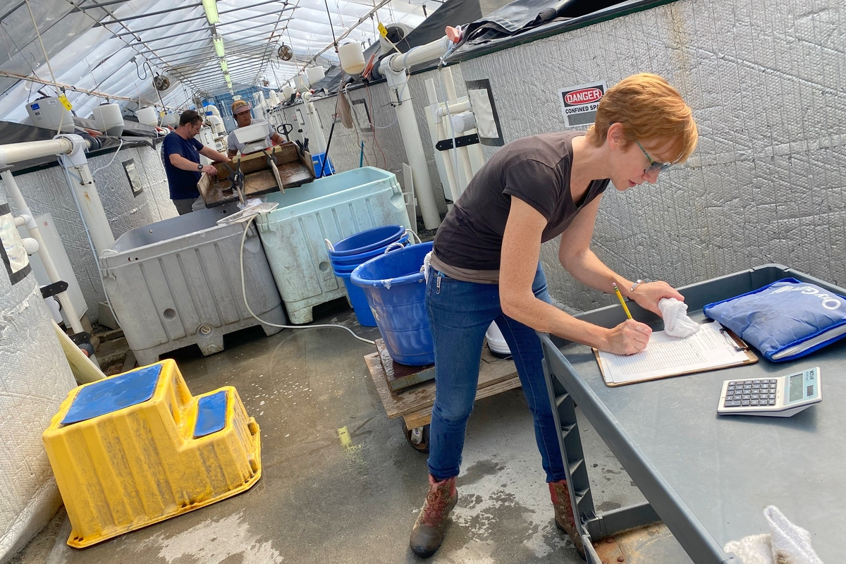 Sara Rademaker is on the brink of opening the country's first eel aquaculture production facility in midcoast Maine.