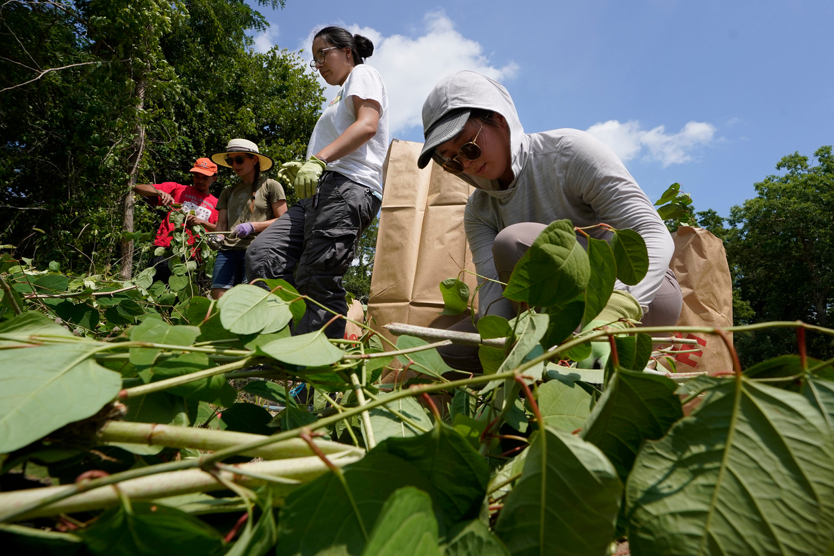 The Wampanoag Common Lands is part of a growing movement to preserve and reinvigorate Native culture and identity.