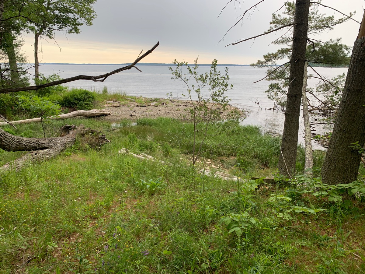 The Maine Supreme Judicial Court heard arguments Thursday about a property dispute involving a proposed salmon farm.