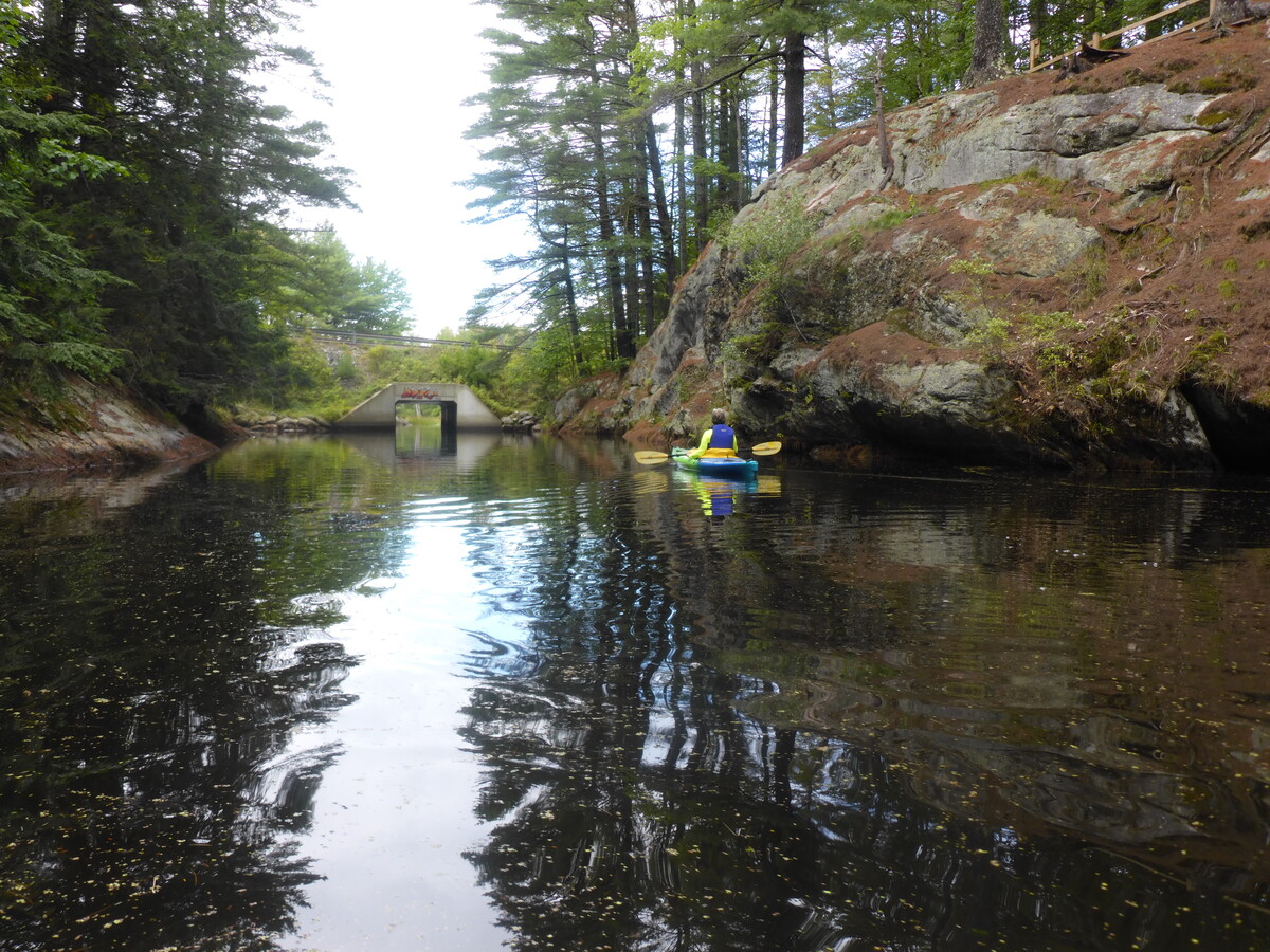 There are lots of nooks and crannies to explore and an abundance of wildlife to see at Runaround Pond in Durham.