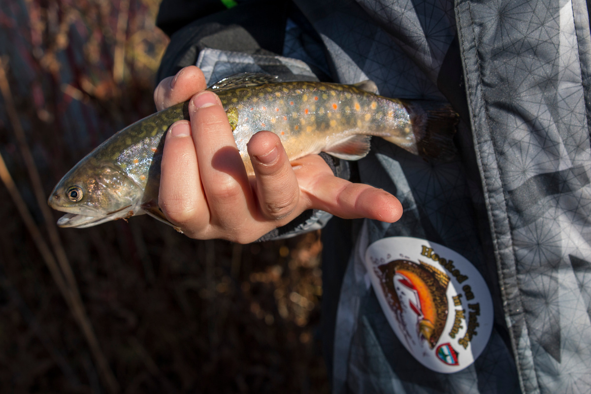 Late-season stocking can help provide ample chances to enjoy having productive fishing days well into November.
