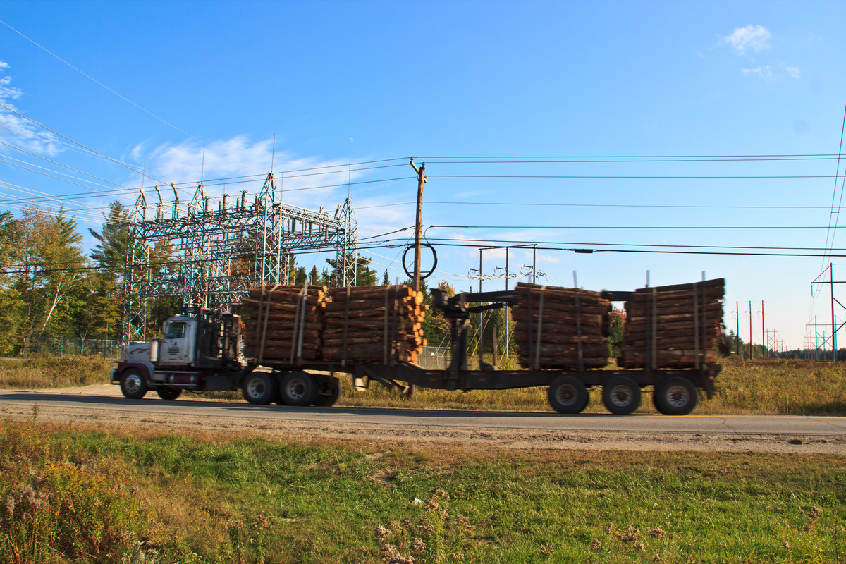 In some cases, Stored Solar owes money to loggers for biomass deliveries made more than five years ago.