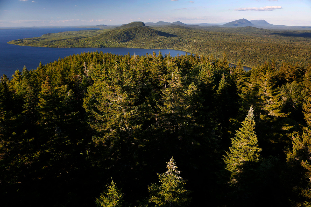The proposal would rezone hundreds of acres near Moosehead Lake owned by Weyerhaeuser.