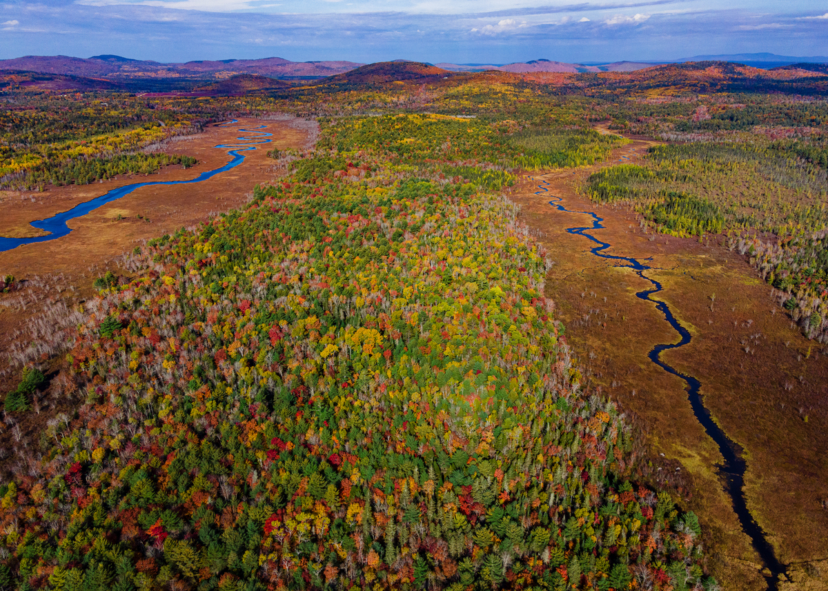 That acreage, near the Whalesback, serves as habitat for inland waterfowl, wading birds, brook trout, endangered Atlantic salmon and other species.