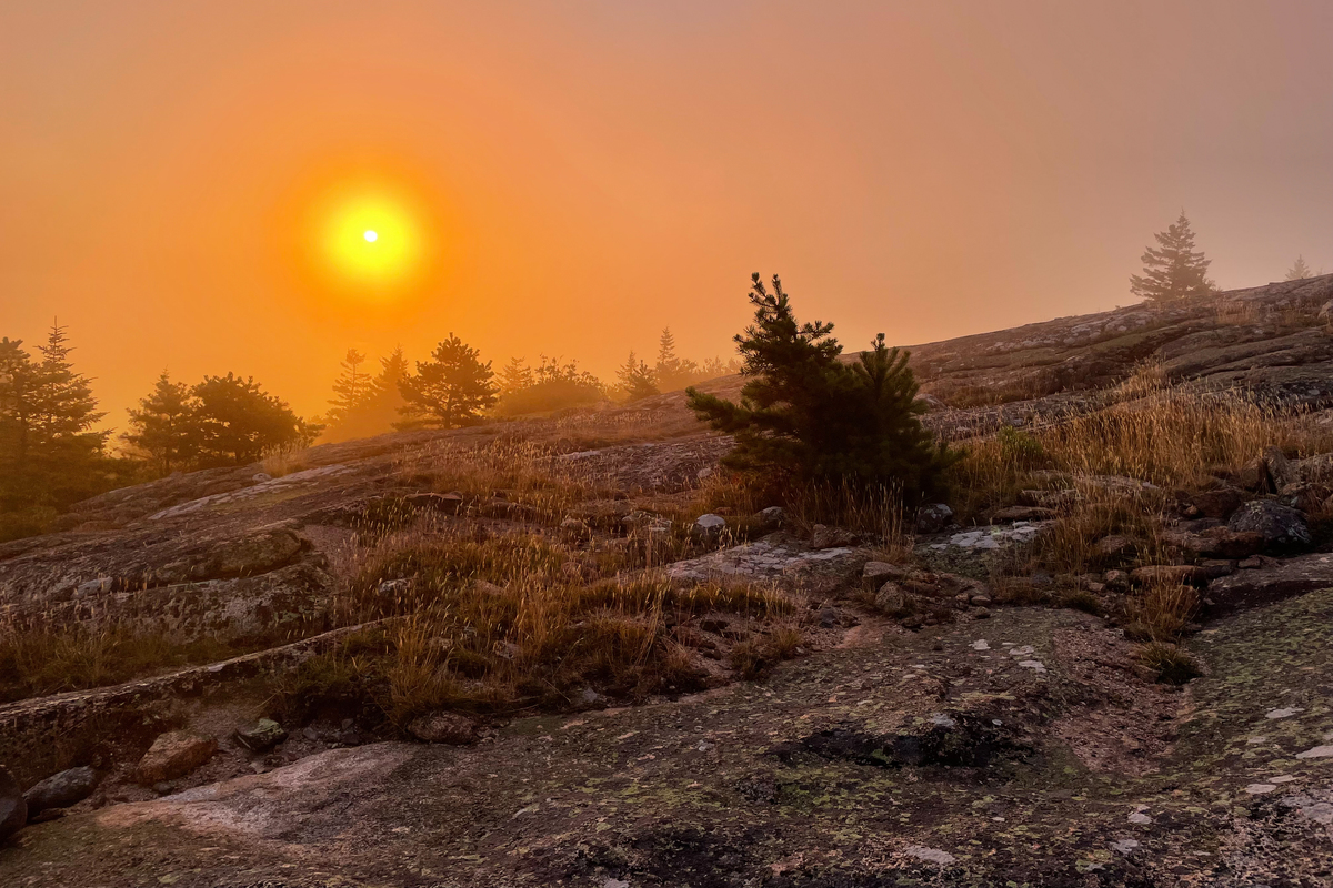 Cadillac Mountain's base is about 2 degrees Celsius warmer than the summit. That approximates the temperature models suggest will be common at the top in 50 years.