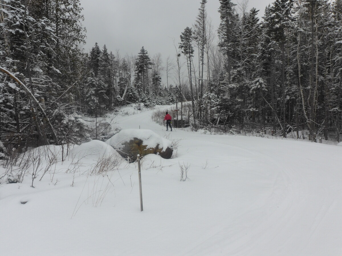The Rangeley Lakes Trails Center may havewthe best Nordic skiing you'll find this side of the Rockies this winter.