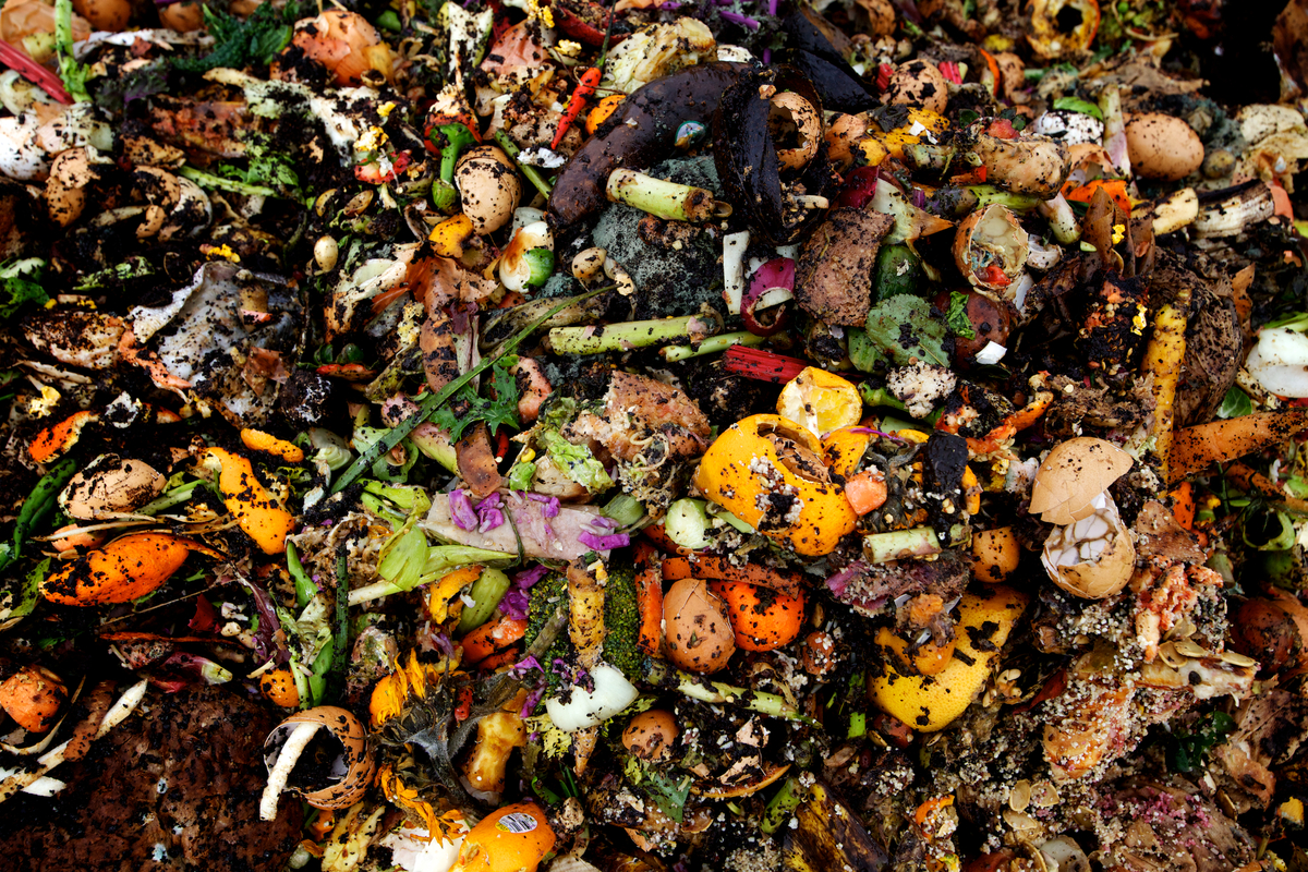 For $25 a month, people in Hampden, Bangor and Brewer can get weekly curbside service from 1 Earth Composting.