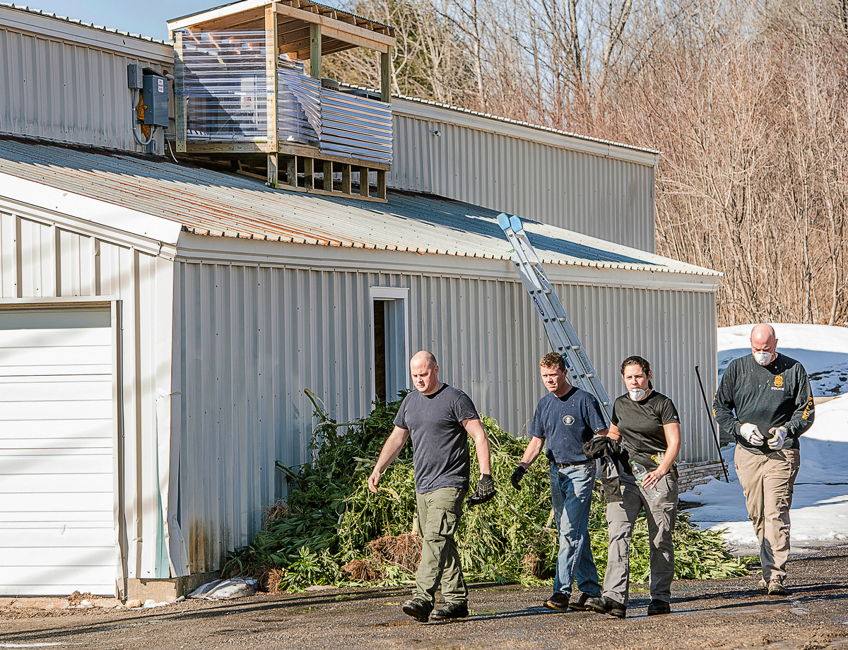 Brian Bilodeau was sentenced to four years in prison for being the ringleader behind a massive marijuana trafficking ring.