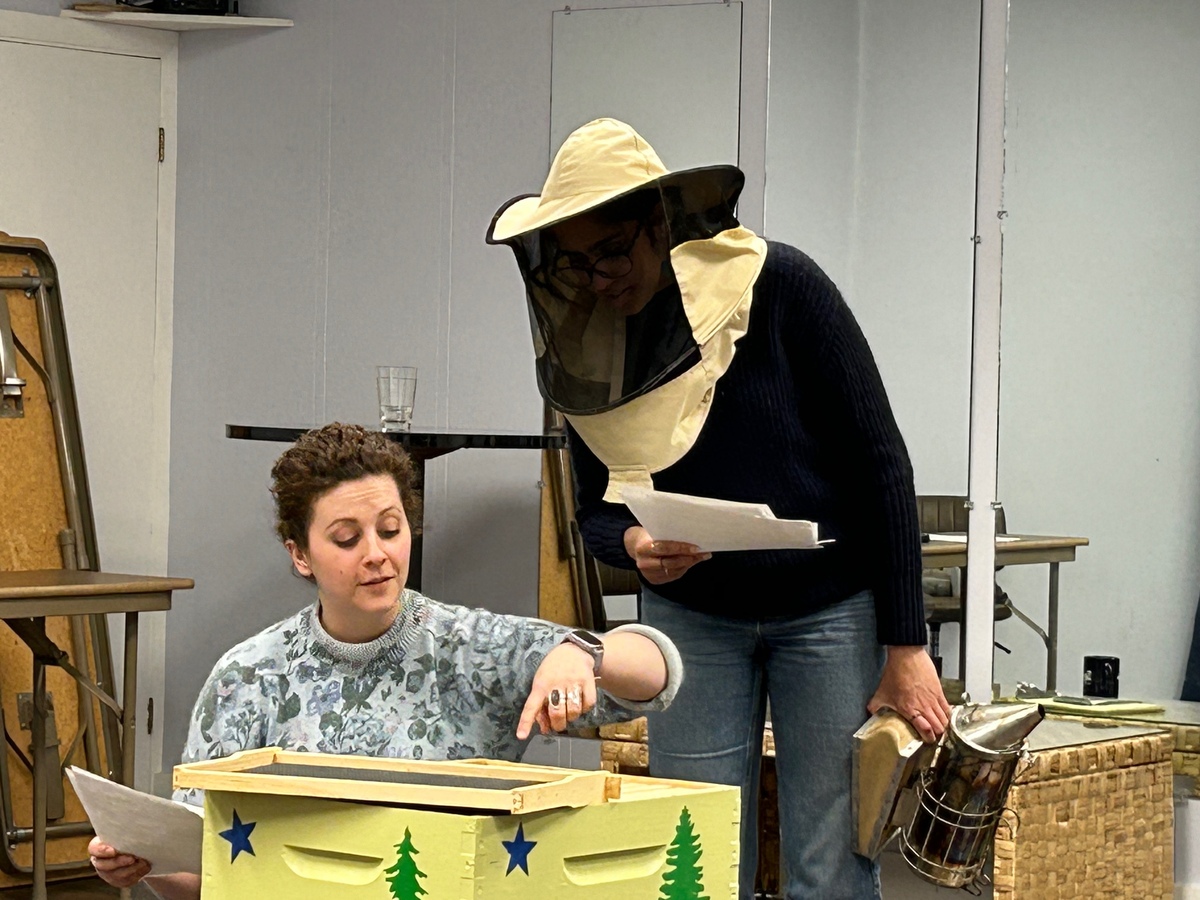 “Queen” takes a look at the very real environmental crisis from a disease of unknown origin that’s killing bees around the world.