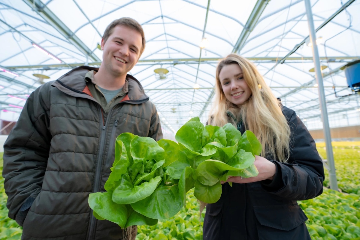 Springworks Farms use aquaponics to produce around 2 million heads of organic lettuce every year and up to 200,000 pounds of tilapia.