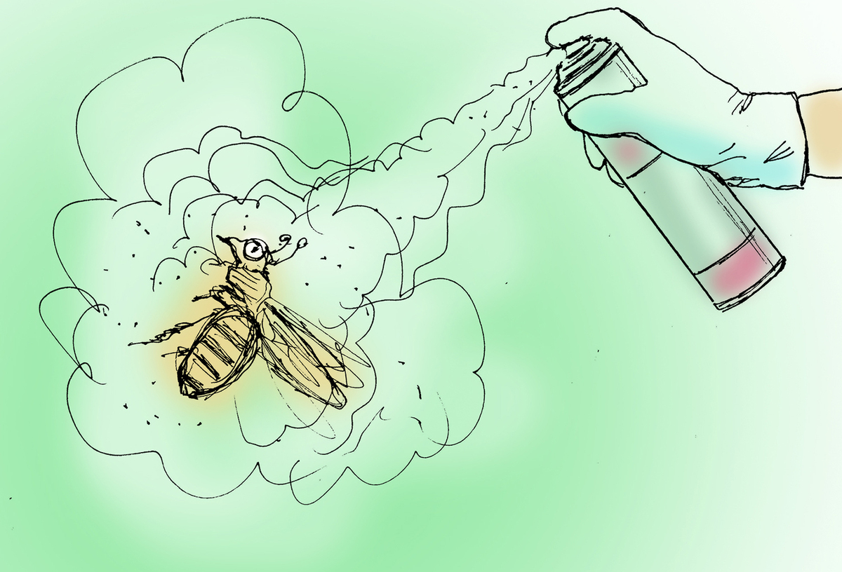 "While insects are not viewed as wildlife, the planning of conservation areas ought to consider what they need to survive."