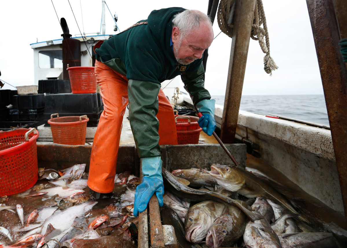 That assessment doesn't match what numerous fishermen are seeing on the water, where haddock appear to them to be plentiful.
