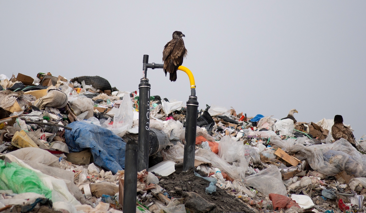 Firefighters spent more than four hours battling the blaze at Juniper Ridge Landfill.