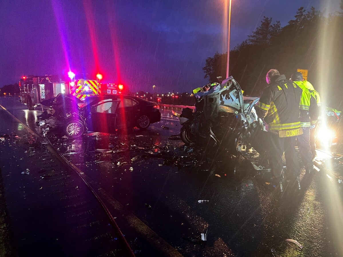 Sarah Lincoln, 45, was allegedly driving under the influence when she went the wrong way down I-95.
